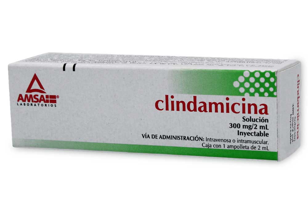 Gofarma | Clindamicina 300 mg / 2 ml 1 Ampolleta (Antibiótico)